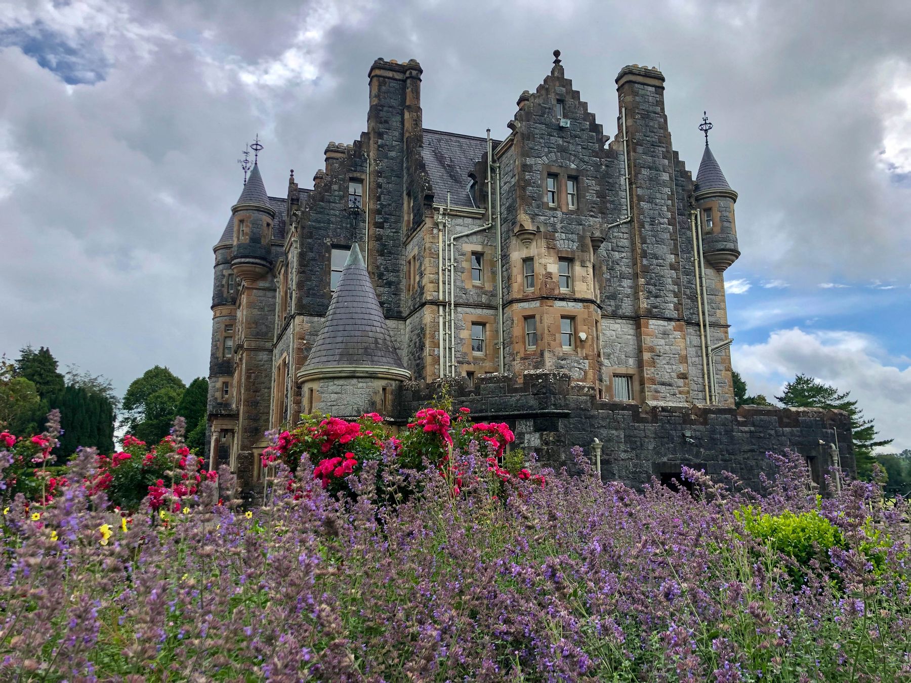 Castle and Lavender Flowers